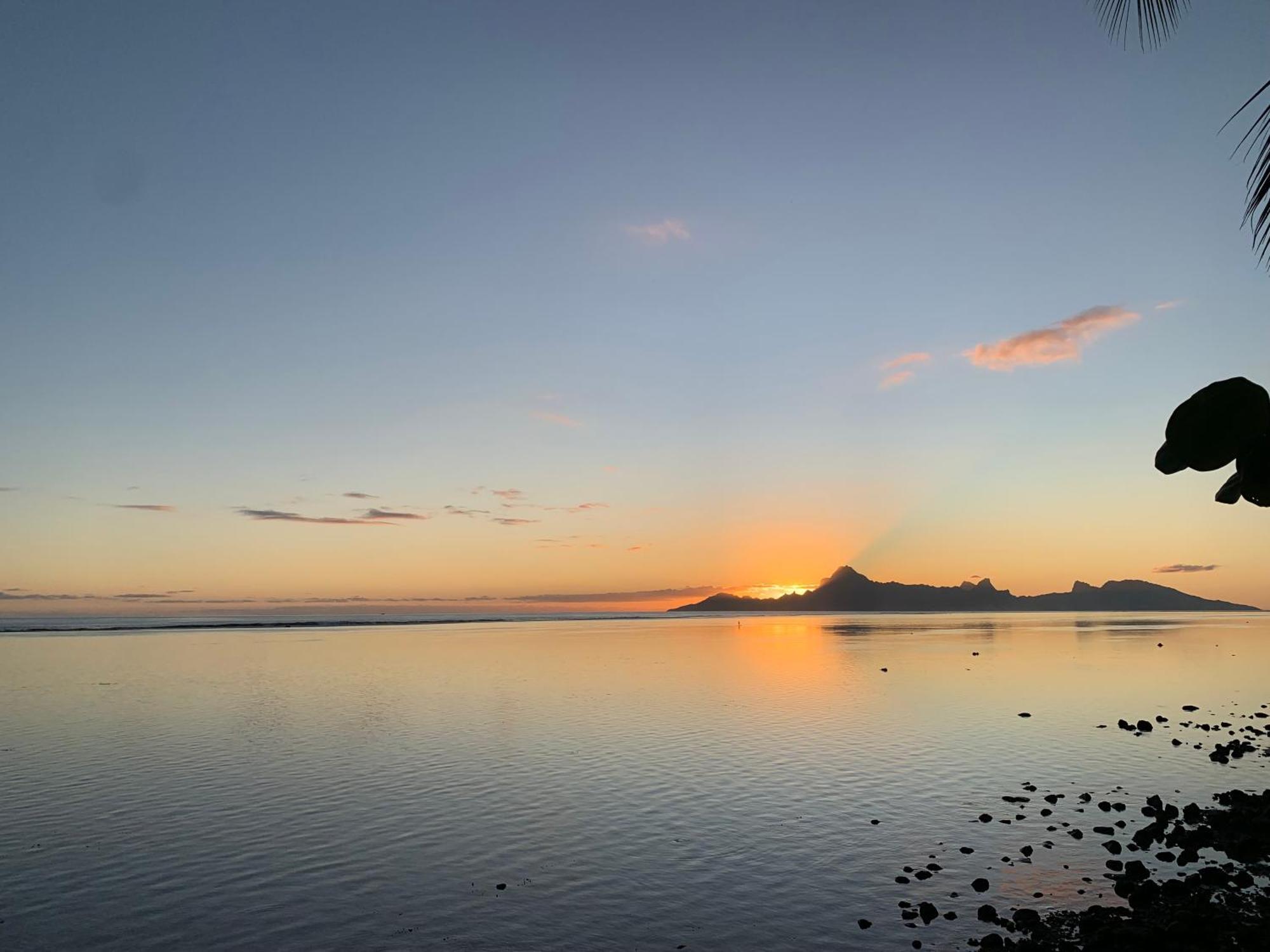 Fare Hotu Punaauia Bord De Mer ภายนอก รูปภาพ